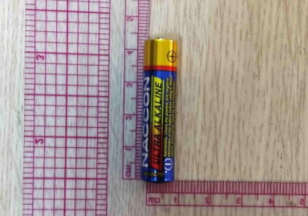 건전지(알칼리·망간 전지(L)) Alkaline Battery AAA LR03 AM4 1.5 V