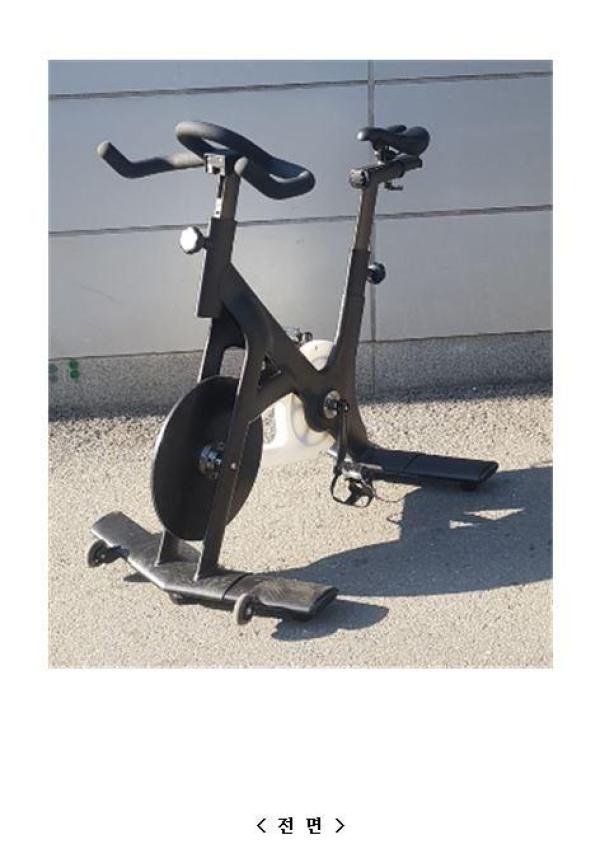헬스기구 fever bike plus