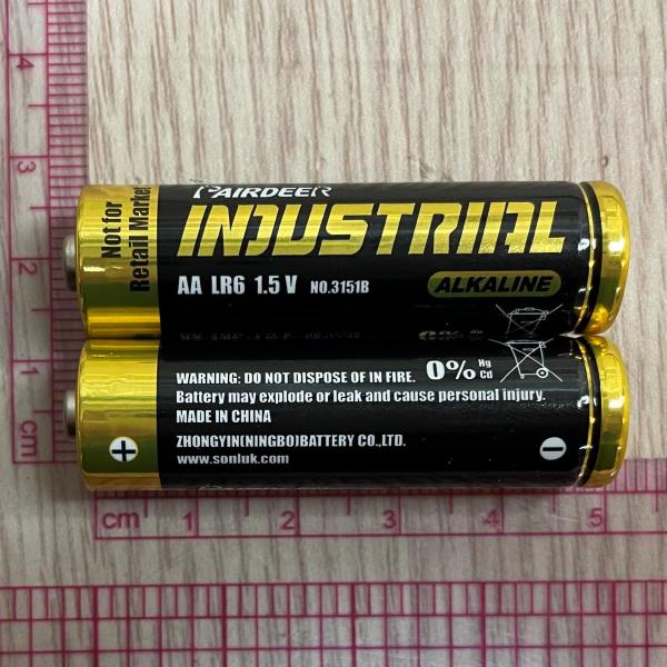 건전지(알칼리·망간 전지(L)) Alkaline AA Size Battery