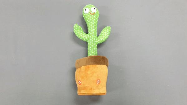 완구 dancing cactus