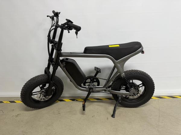 이륜자전거(전기자전거) XTRON MINI PAS