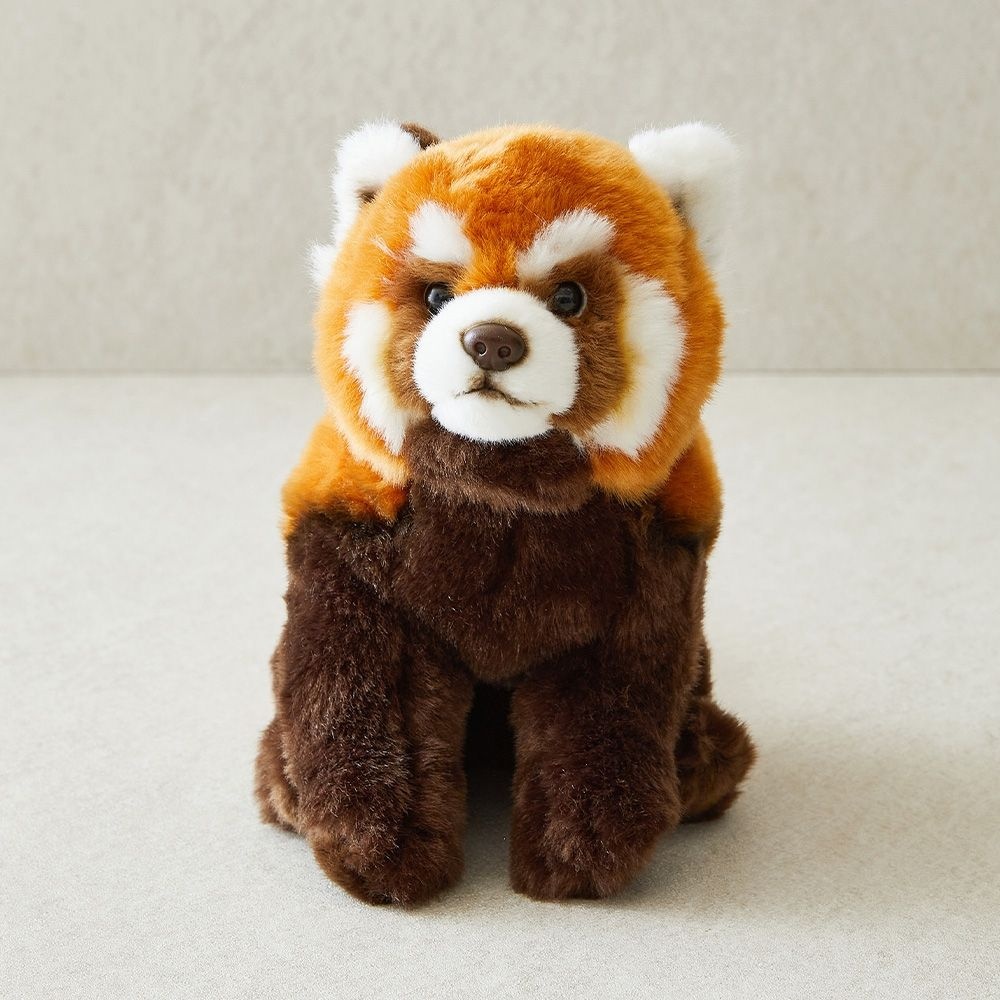 완구 10.5" Floppy Red Panda W.Bean