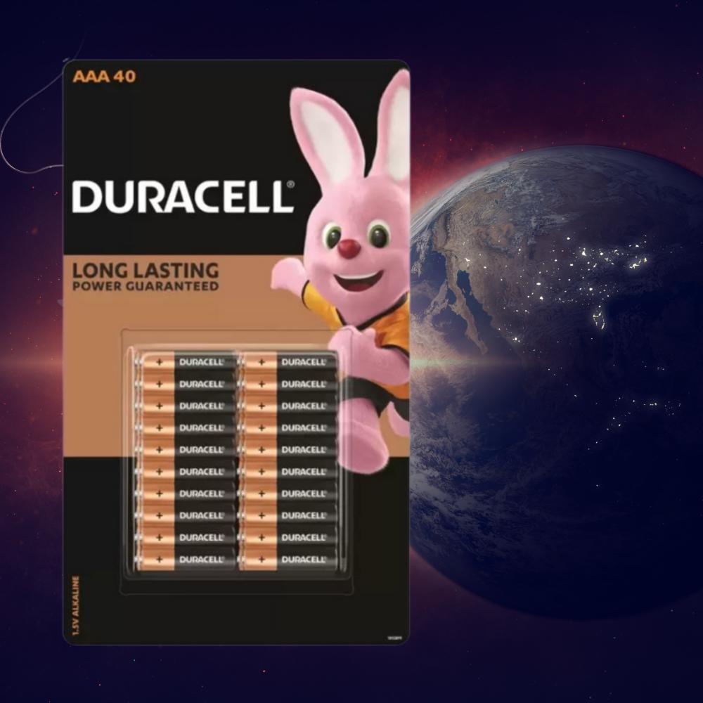 건전지(알칼리·망간 전지) 듀라셀 D SIZE